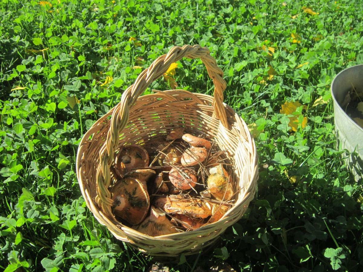 Casa Rural Lamadretierra Villamejil Zewnętrze zdjęcie