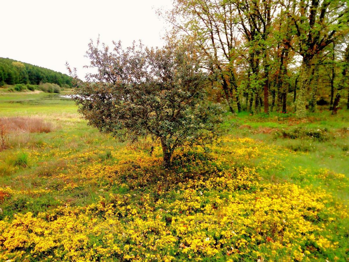 Casa Rural Lamadretierra Villamejil Zewnętrze zdjęcie